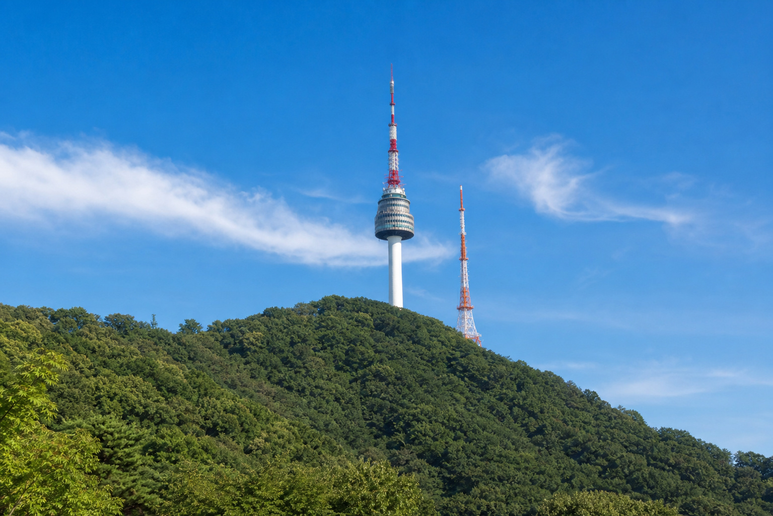 남산 숲 위로 솟은 남산 N서울타워